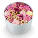 Box růžových květin zavřený